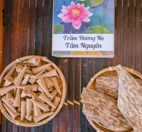 Trầm Hương Nụ Tâm Nguyên